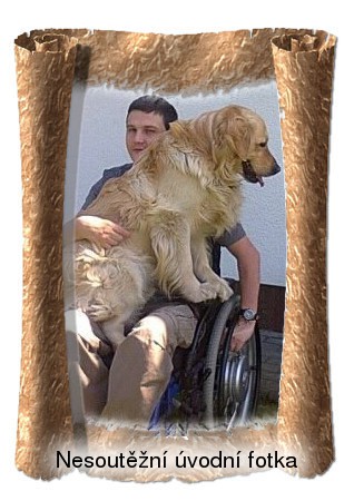 POSLEDNÍ DEN NAŠÍ FOTO-SOUTĚŽE !